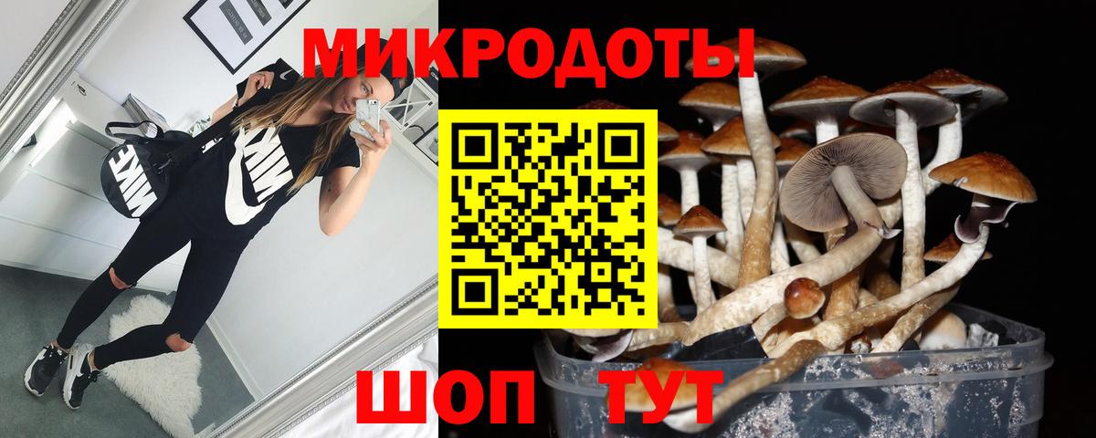 Ессентуки  Псилоцибиновые грибы Magic Shrooms  Вход с VPN 
